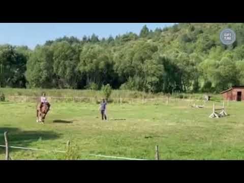 Урок по конна езда в района на Кюстендил - ваучер за преживяване 