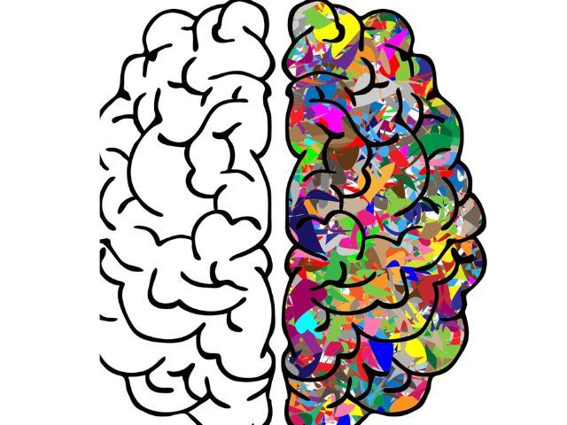 графика на двете полукълба на човешки мозък