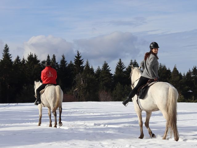 Романтично преживяване за двама - конен преход на Боровец снимка