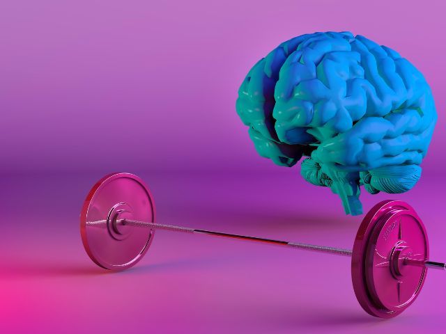 brain fitness 