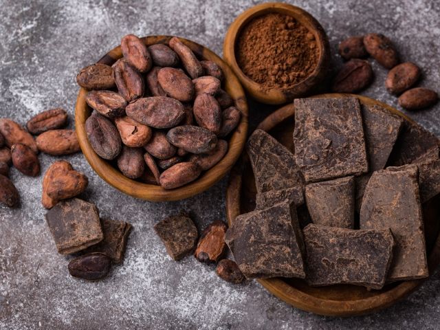 какаови зърна и парчета шоколад подредени за дегустаия - снимка