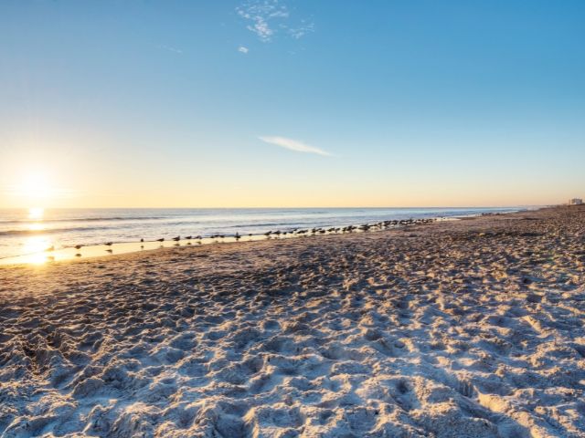 плаж в слънчев бряг - снимка