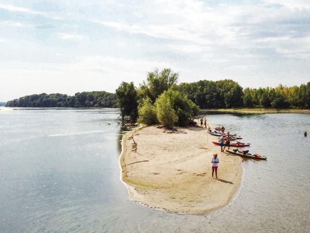 малък остров на р. Дунав - снимка