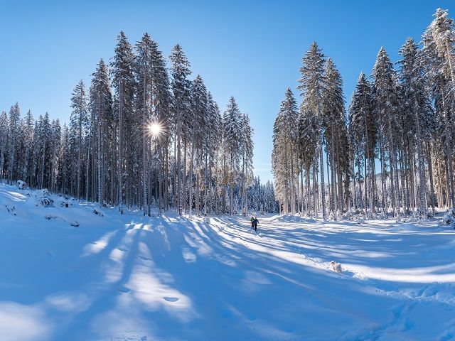Целодневен зимен планински преход с водач - ваучер за преживяване