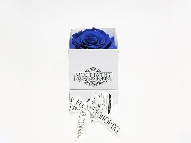 синя вечна роза Гифт Тюб-снимка