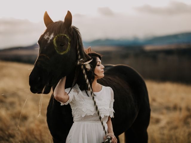 Фотосесия с коне - ваучер за подарък 
