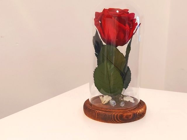 Голяма вечна роза в стъкленица снимка