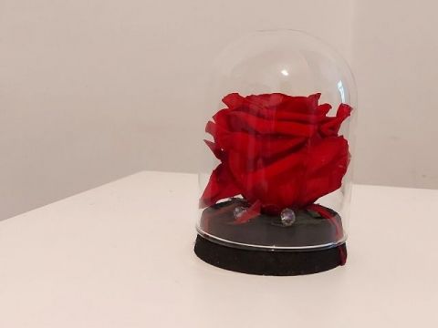 Вечна роза в стъкленица снимка