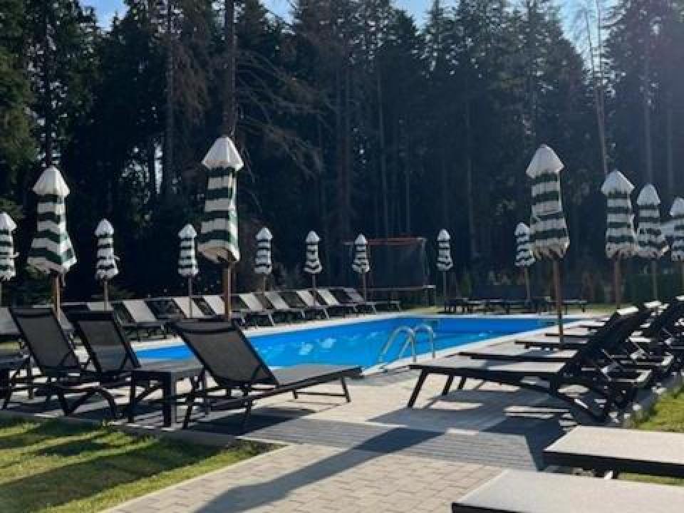 Външен басейн заобиколен от борова гора